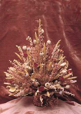 decorativa1.jpg