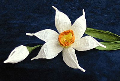 Narciso.jpg